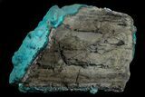 Turquoise Blue, Botryoidal Chrysocolla - Congo #69797-1